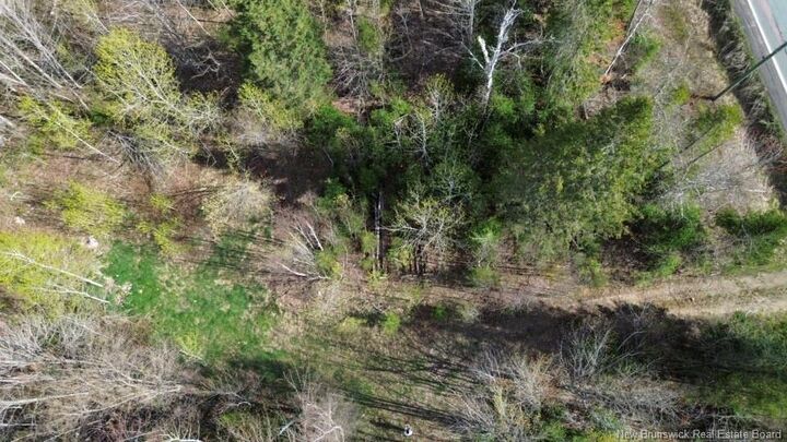 Property Photo:  Lot Route 126  NB E4T 2Z5 