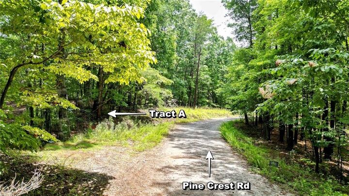 Property Photo:  23.83 Pine Crest Road  GA 30143 