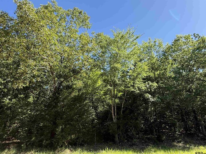 Property Photo:  000 Cr 457  TX 75773 