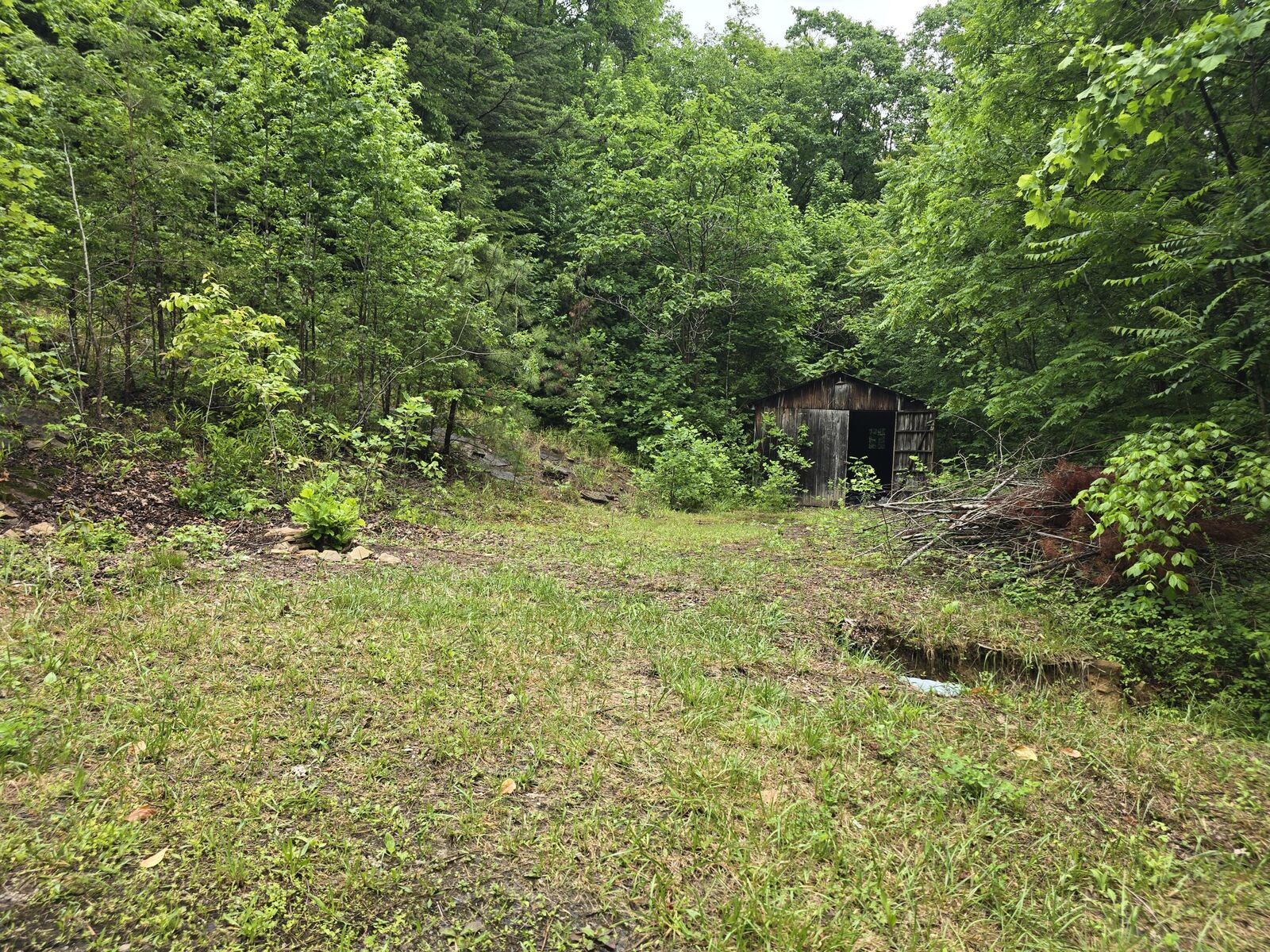 Property Photo: 36 US Hwy 119 KY 40813