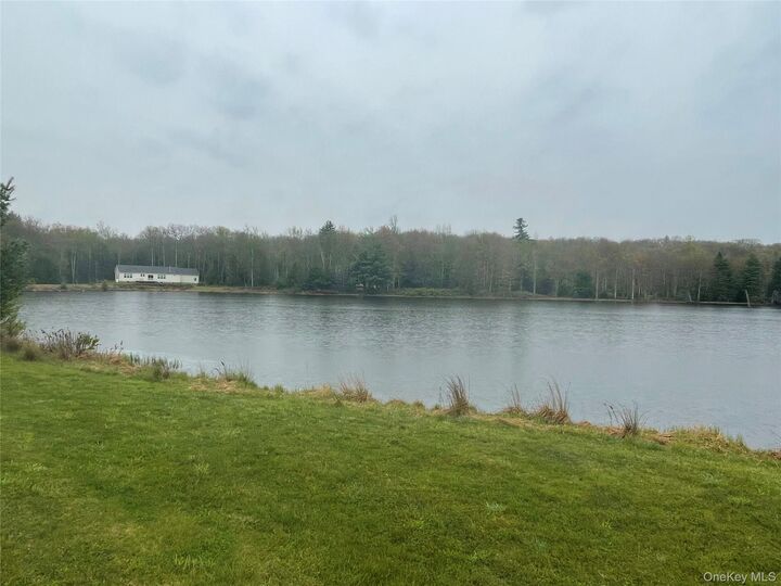 Property Photo:  Lot # 20 Pine Lake Drive  NY 12790 