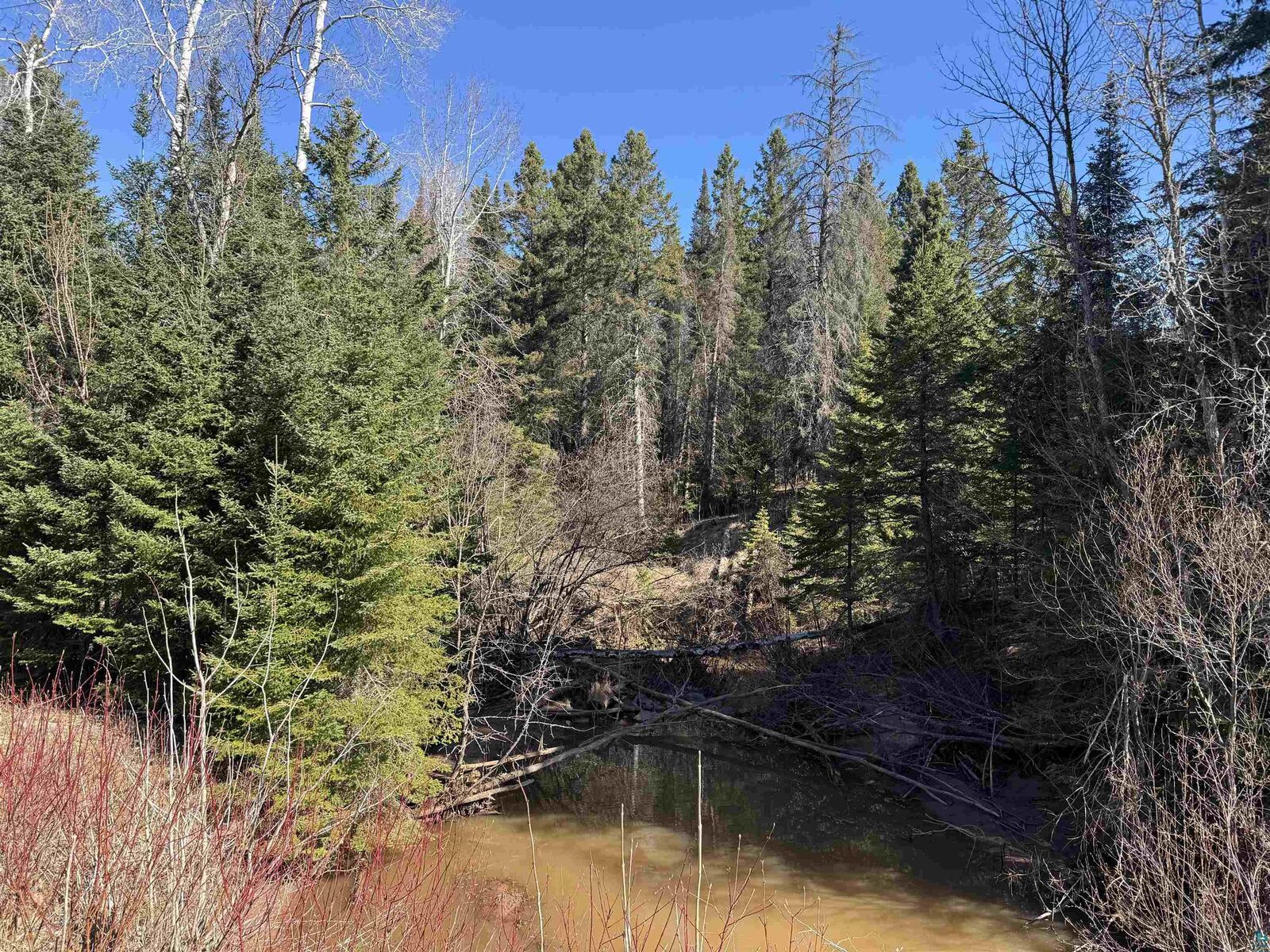 Property Photo:  Xxx Lund Rd  WI 54854 