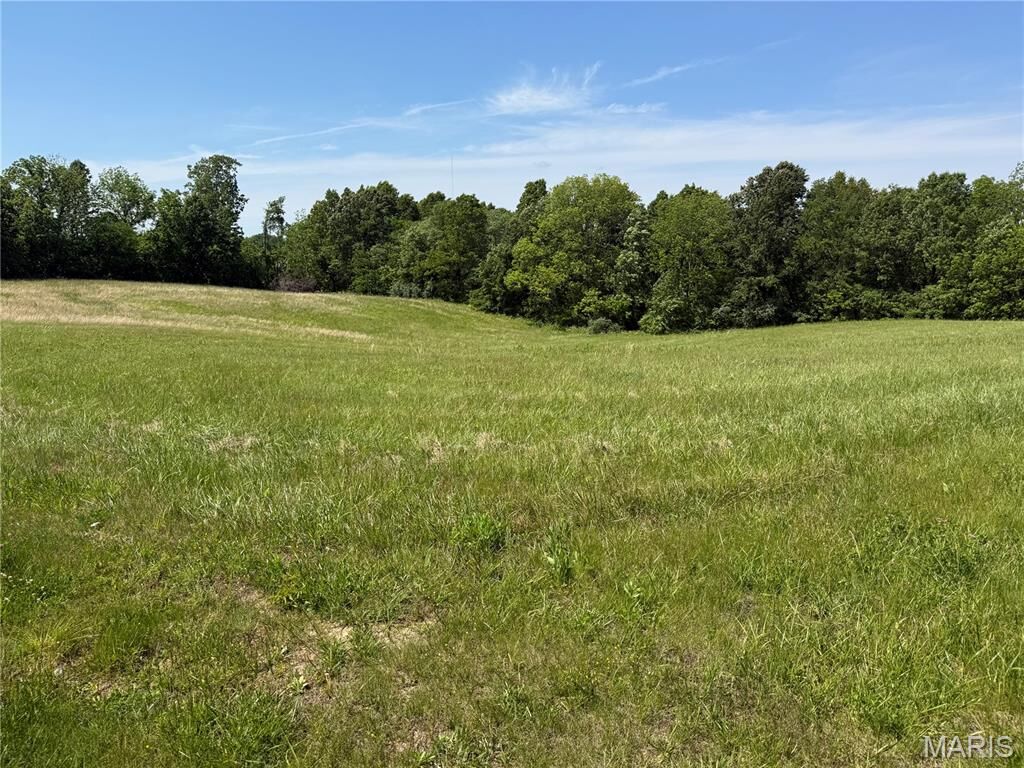 Property Photo:  0 Spring Valley Drive  MO 63801 