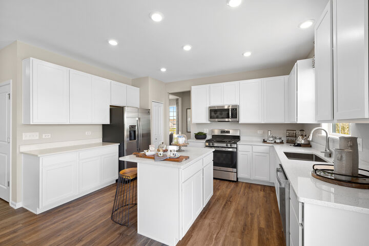 Property Photo:  711 Erwin Street  IL 60543 