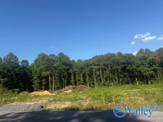 Property Photo:  491 County Road 1004  AL 35974 