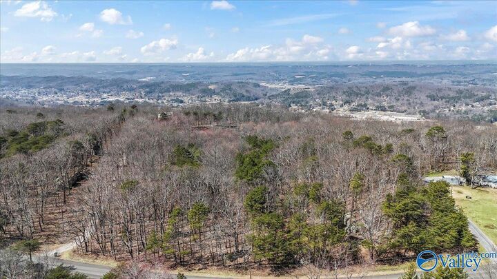 Property Photo:  3180 Citadel Rock Road  AL 35967 