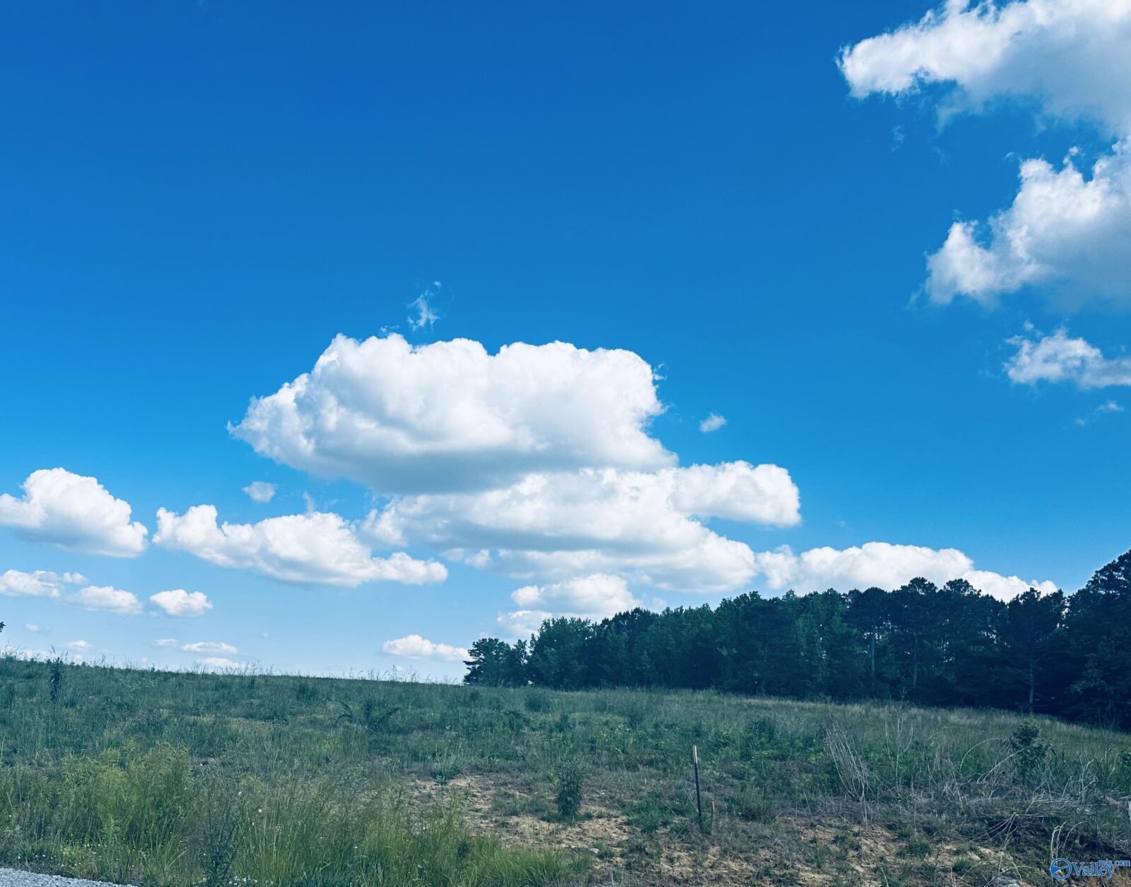 Property Photo:  56 County Road 1171 Lot 3  AL 35057 