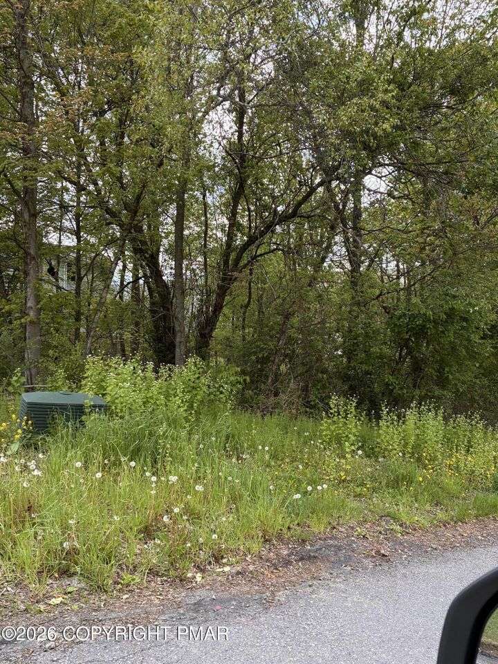 Property Photo:  Park Street  PA 18433 