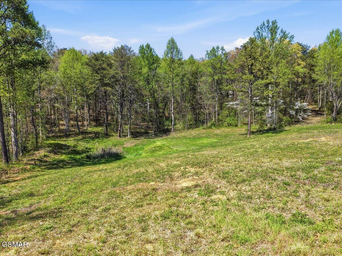 Property Photo: 2535 Dark Hollow Road TN 37722