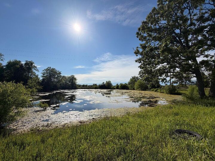 Property Photo:  1452 Kaylor Road  MO 65711 