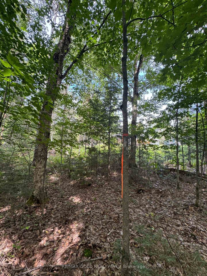 1791 Alsace Road — photo 1