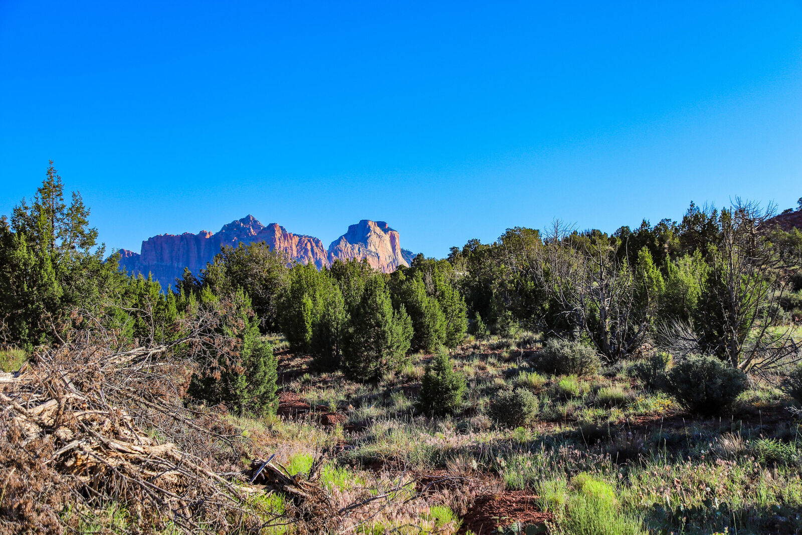 Property Photo:  Kayenta Ave  UT 84763 