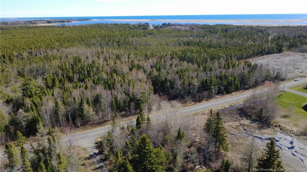 Property Photo:  2.02 Acres Rue Sureau Blanc  NB E1X 2G1 