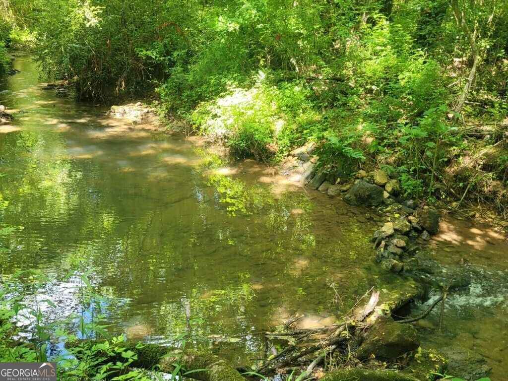 Property Photo: 251 Bean Creek Road GA 30571