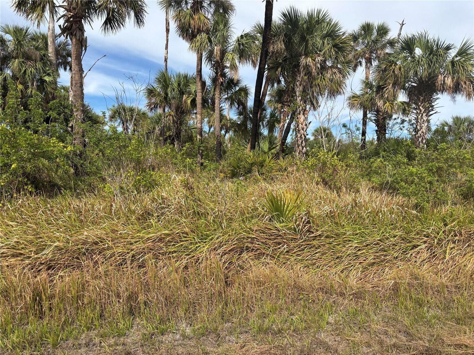 Property Photo:  Melissa Terrace  FL 34286 