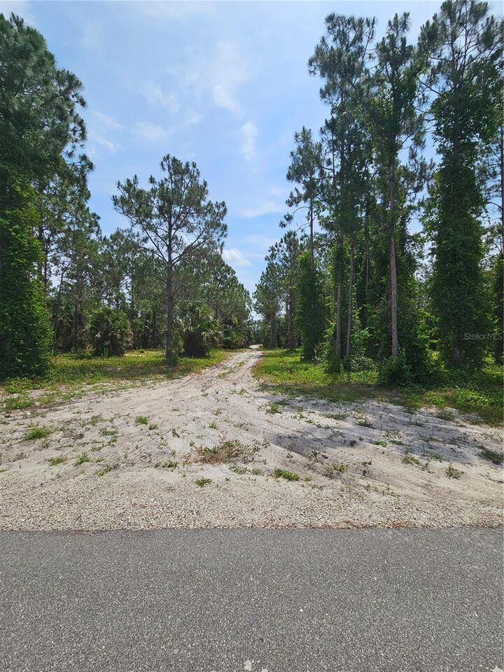 Property Photo: Geneva Woods Cove FL 32732