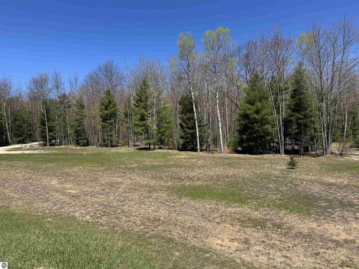 Property Photo:  4247 SW Bald Eagles View  MI 49680 