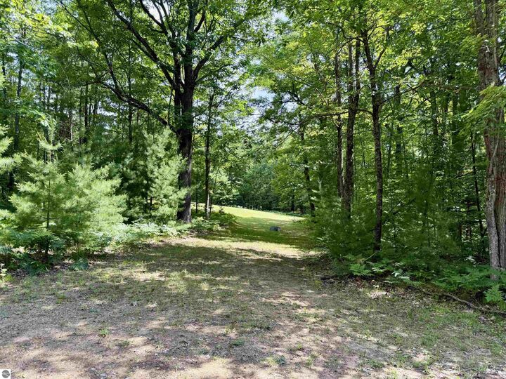 Property Photo:  4247 SW Bald Eagles View  MI 49680 