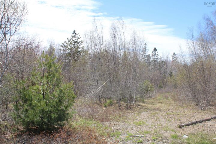 Property Photo:  Lot 1 Mary Jane Riley Road  NS B0S 1B0 