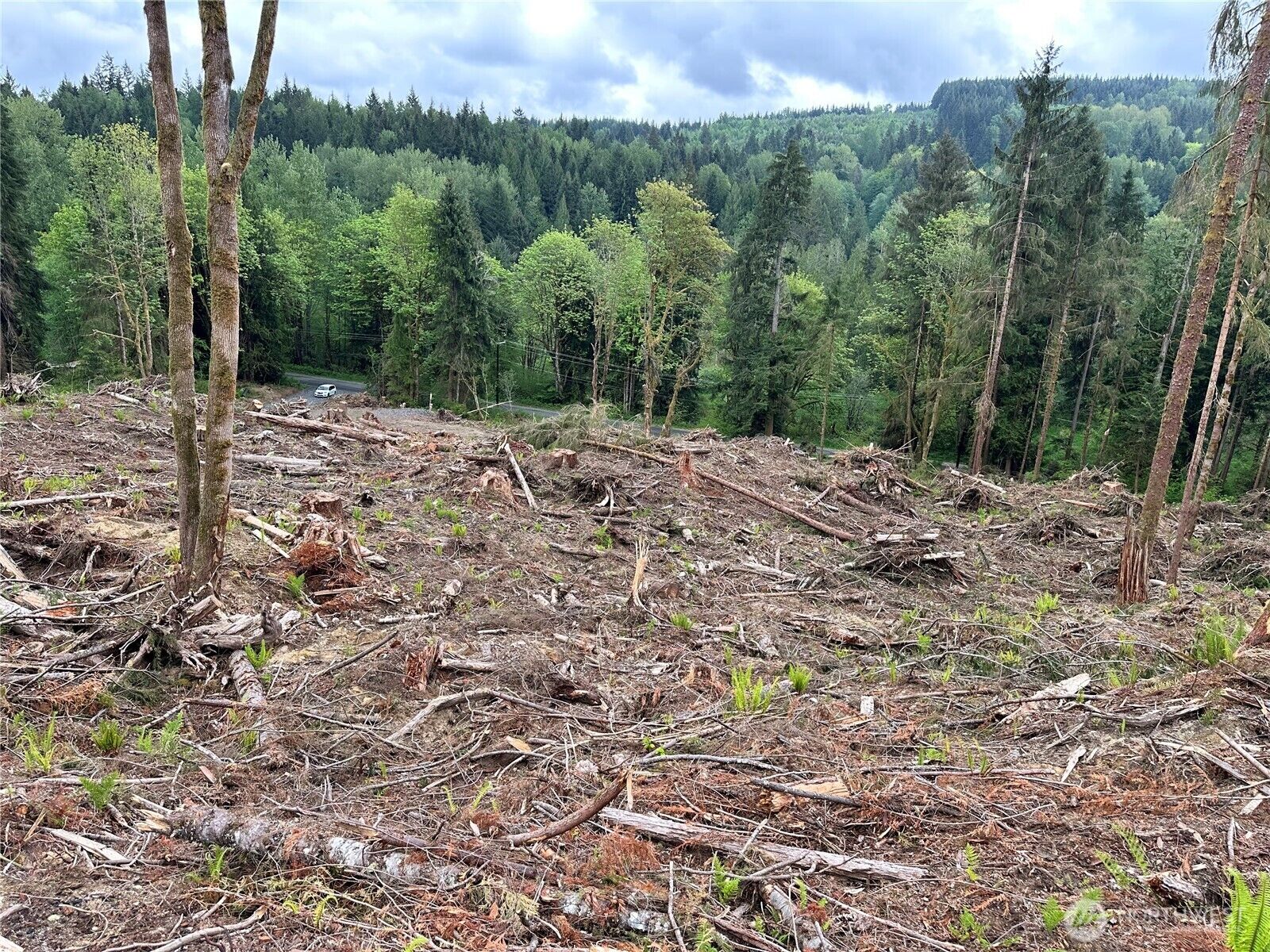 Property Photo:  0 S Carpenter Road  WA 98280 