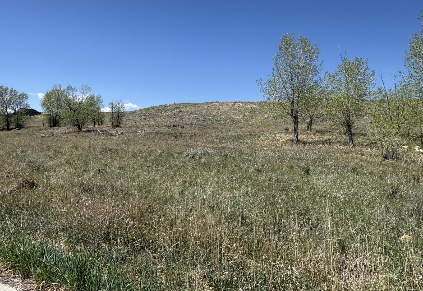 Property Photo:  110 Watkins Street  WY 82834 