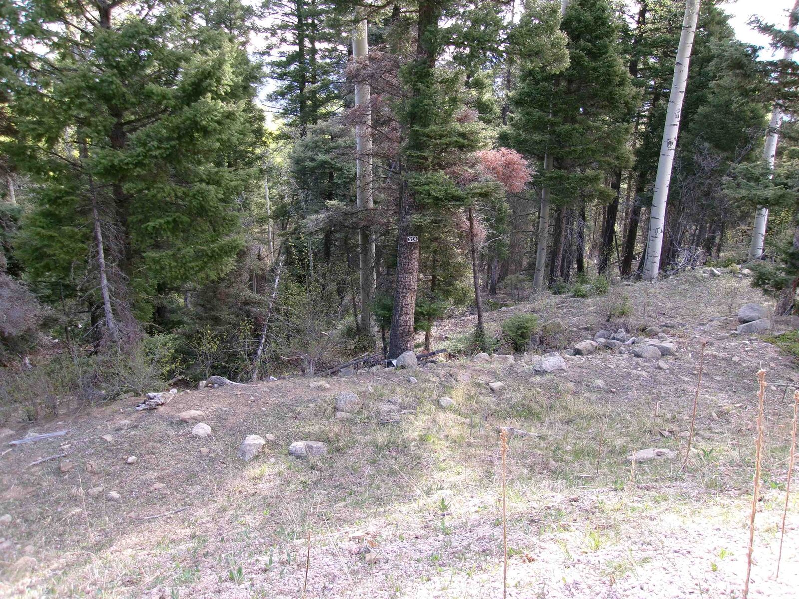Property Photo: 60 Brazos Dr NM 87710