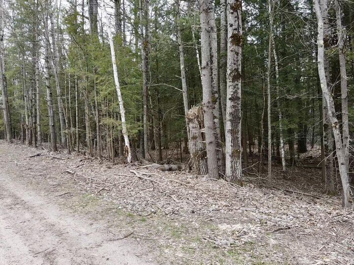 Property Photo: Par 4 Needles Road MI 49749