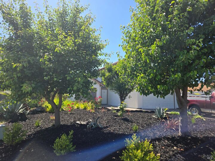 Property Photo:  315 Brookshire Court  CA 94503 