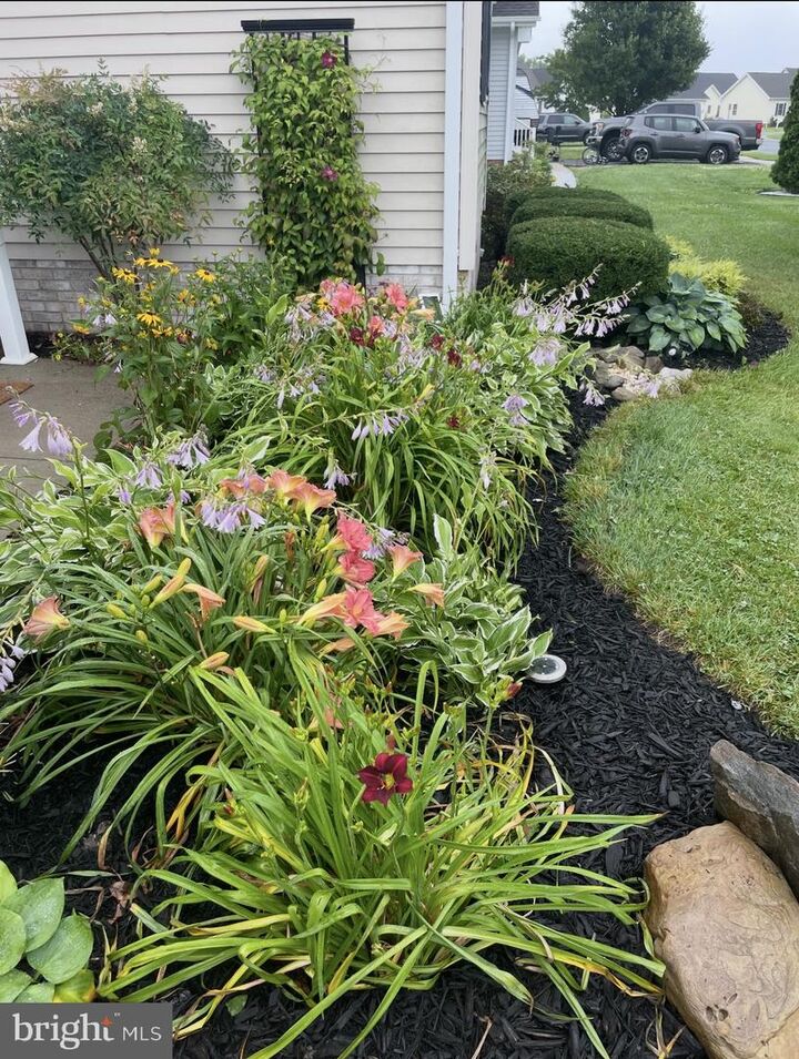 Property Photo:  603 Hillcrest Drive  MD 21851 