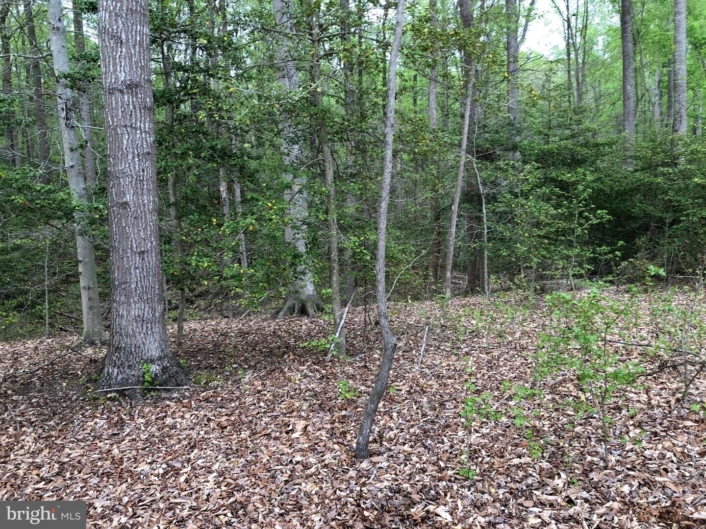 Property Photo: 9045 Genevieve Drive MD 20695