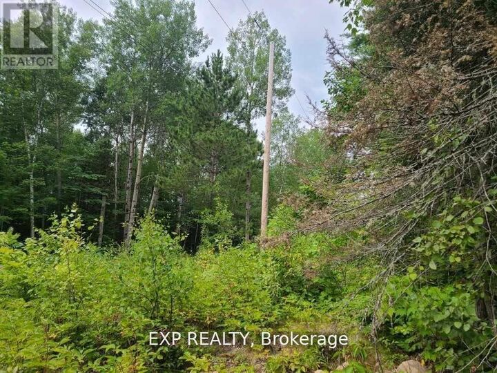 Property Photo:  20 Peplinskie Homestead Road  ON K0J 1B0 