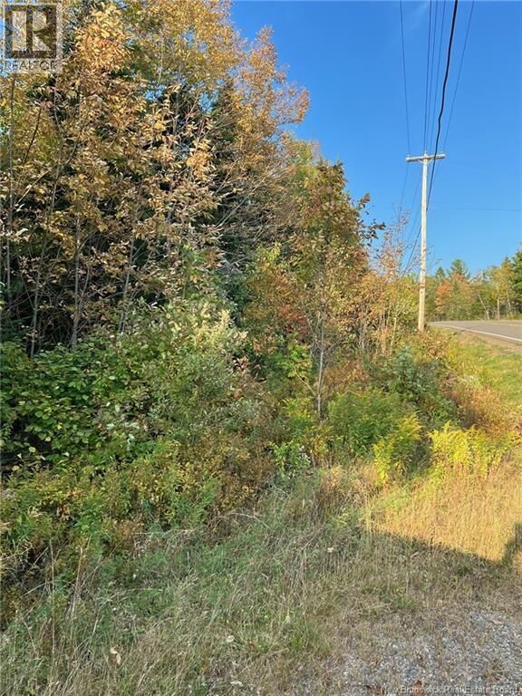 Property Photo:  Lot 24-2 Rte 3  NB E6K 1T3 