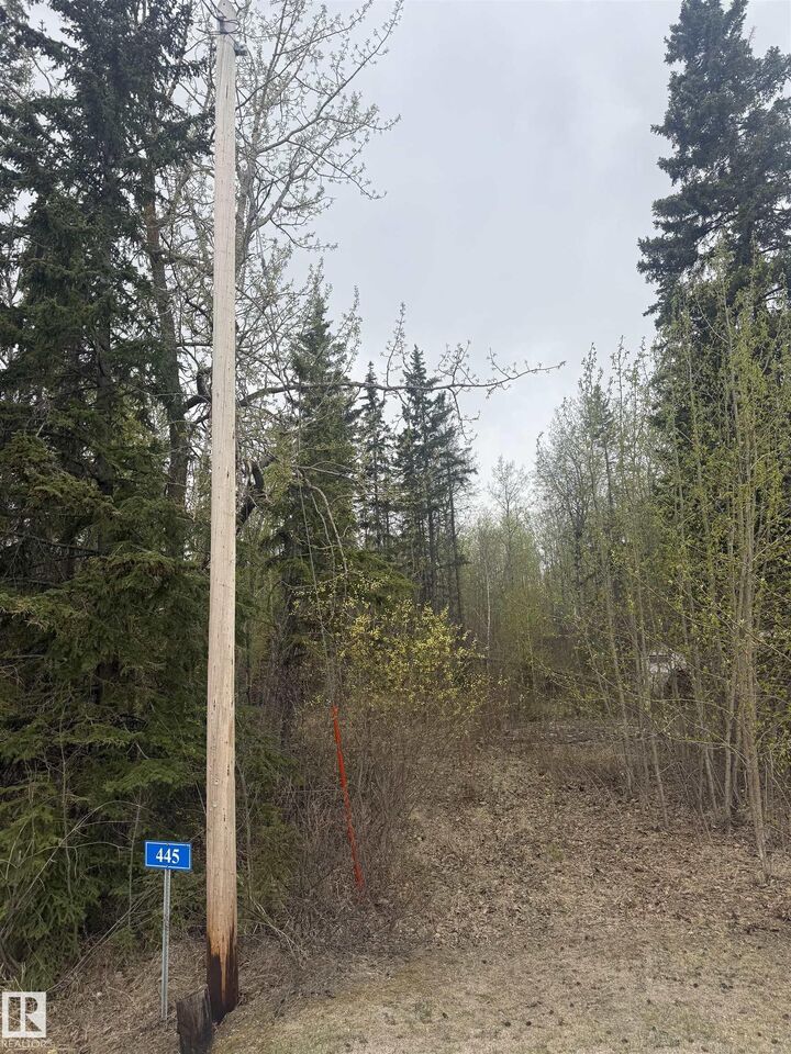 Property Photo:  445 Lakeview Drive  AB T0E 1V0 