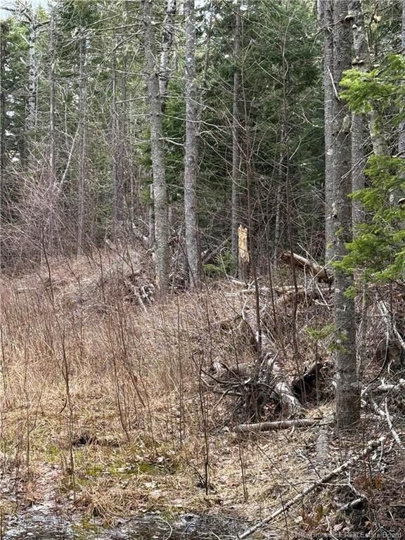 Land Route 515 — photo 1