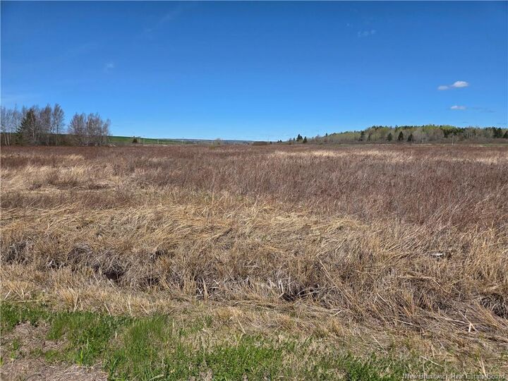 Property Photo:  None Anderson Mill Road  NB E4K 3Z2 