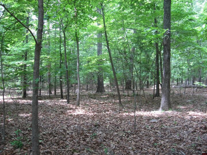 Property Photo:  002-02922-007 Arapaho Drive  AR 72623 