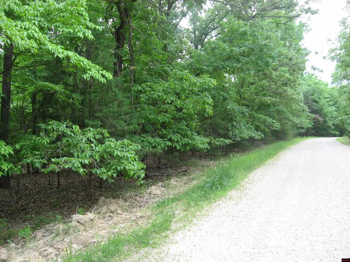 Property Photo:  Lot L Potawatomie Trail  AR 72623 