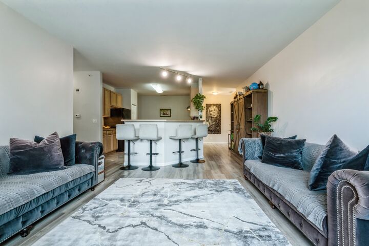 Property Photo:  250 Rosehall Drive 260  IL 60047 