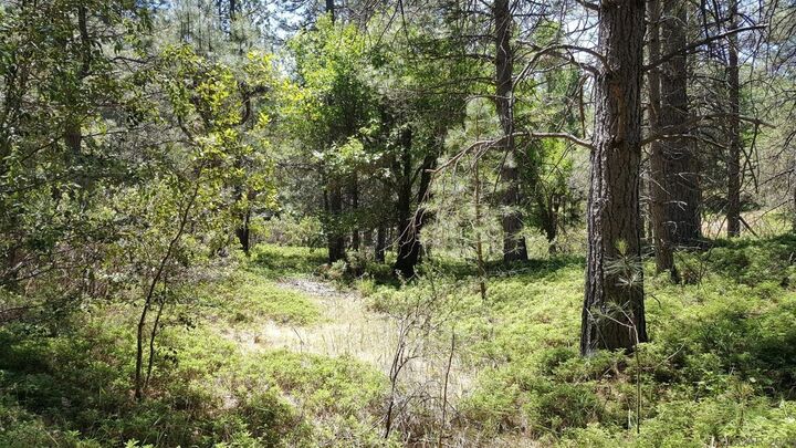 Property Photo:  0 Deardorff Road  CA 95232 