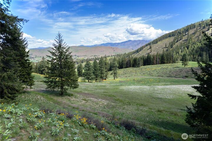 Property Photo:  102  Elbow Canyon Road  WA 98856 