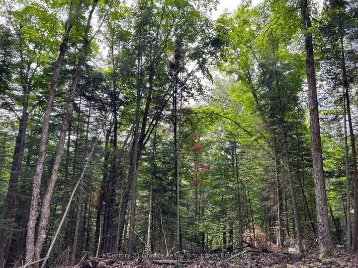 Property Photo:  Lot 26 West Court  ON K0M 1S0 
