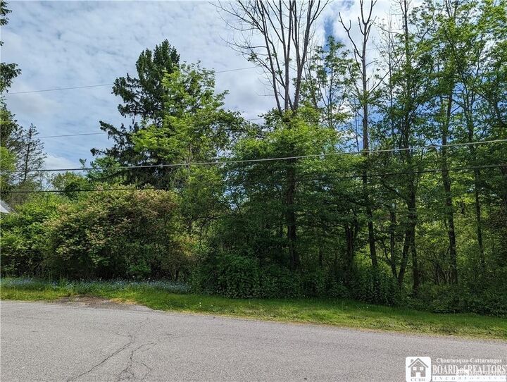 Property Photo: 45 Magnolia Avenue NY 14701