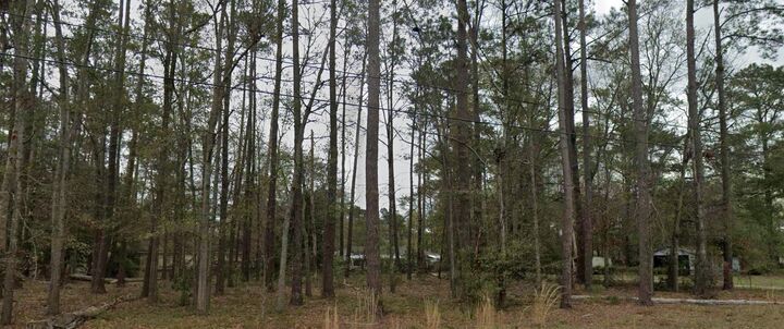 Property Photo:  0-3 Hazel Street  SC 29488 