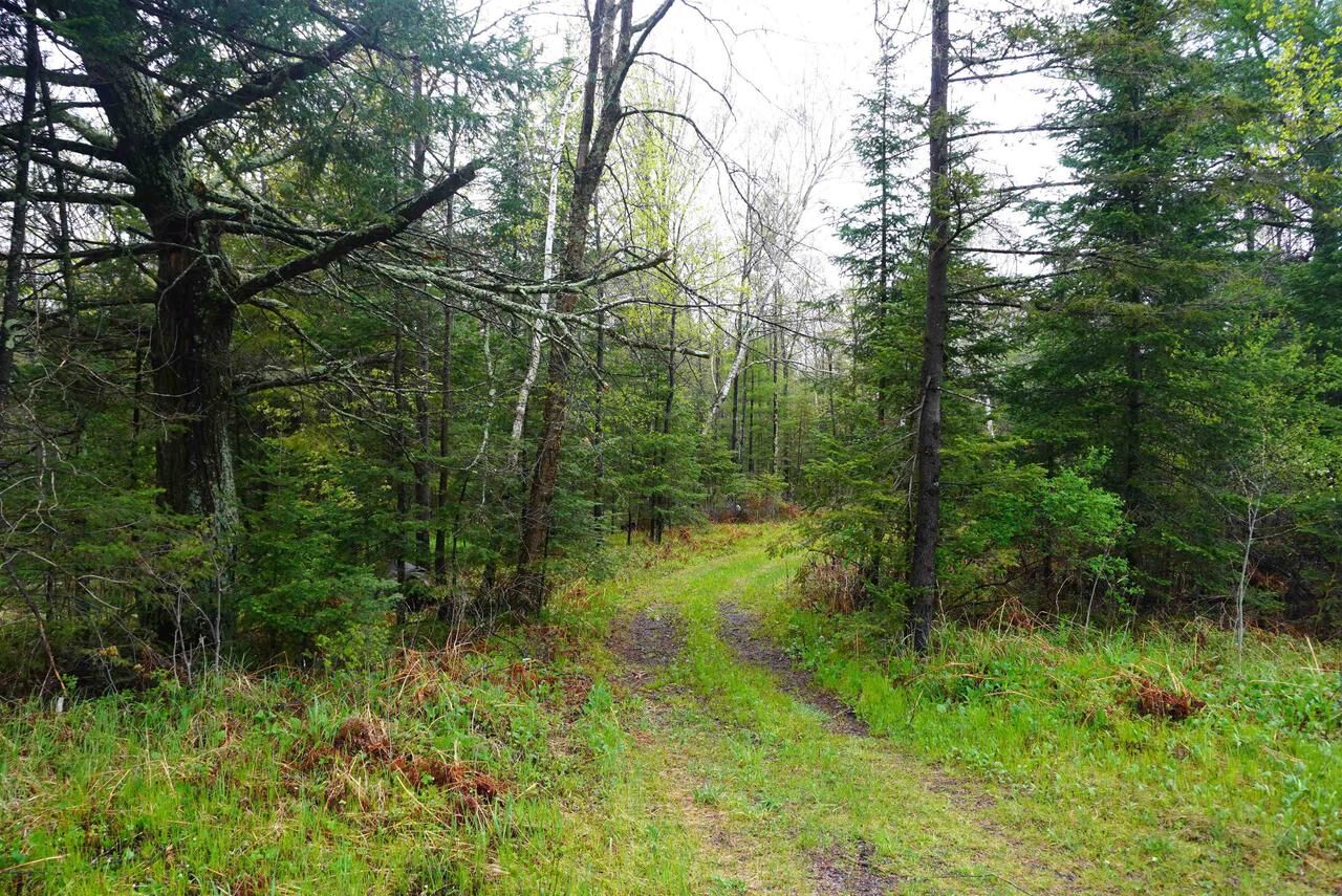 Property Photo:  20 Acres S County Road X  WI 54435 