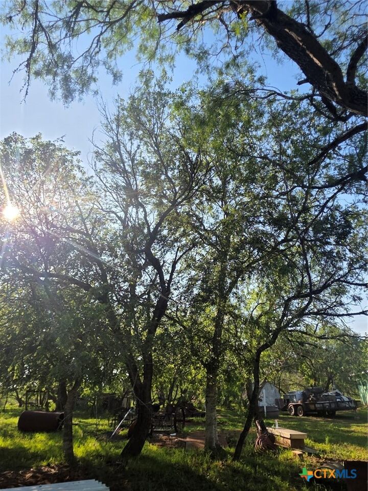 Property Photo:  766 Rawhide Road  TX 78155 