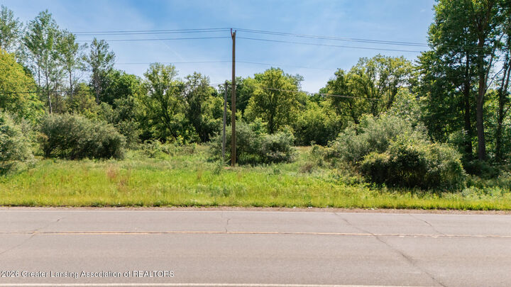 Property Photo:  0 Woodbury Road  MI 48848 