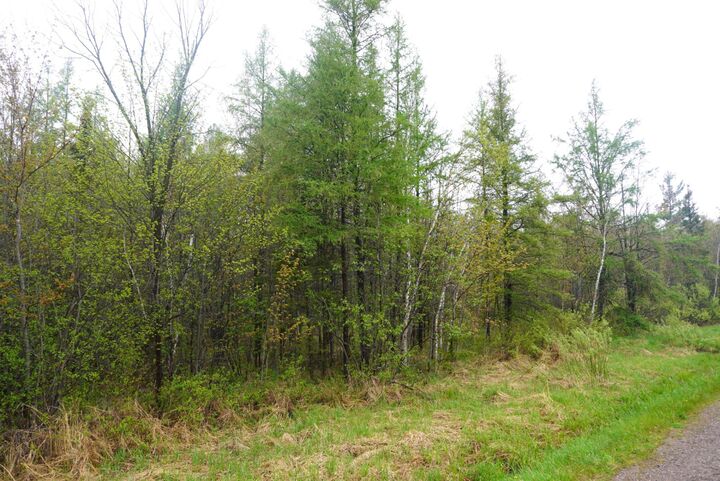 Property Photo: 20 Acres Cth X WI 54435