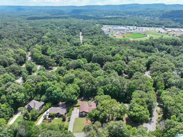 Property Photo:  705 New Hope Mtn Road  AL 35124 
