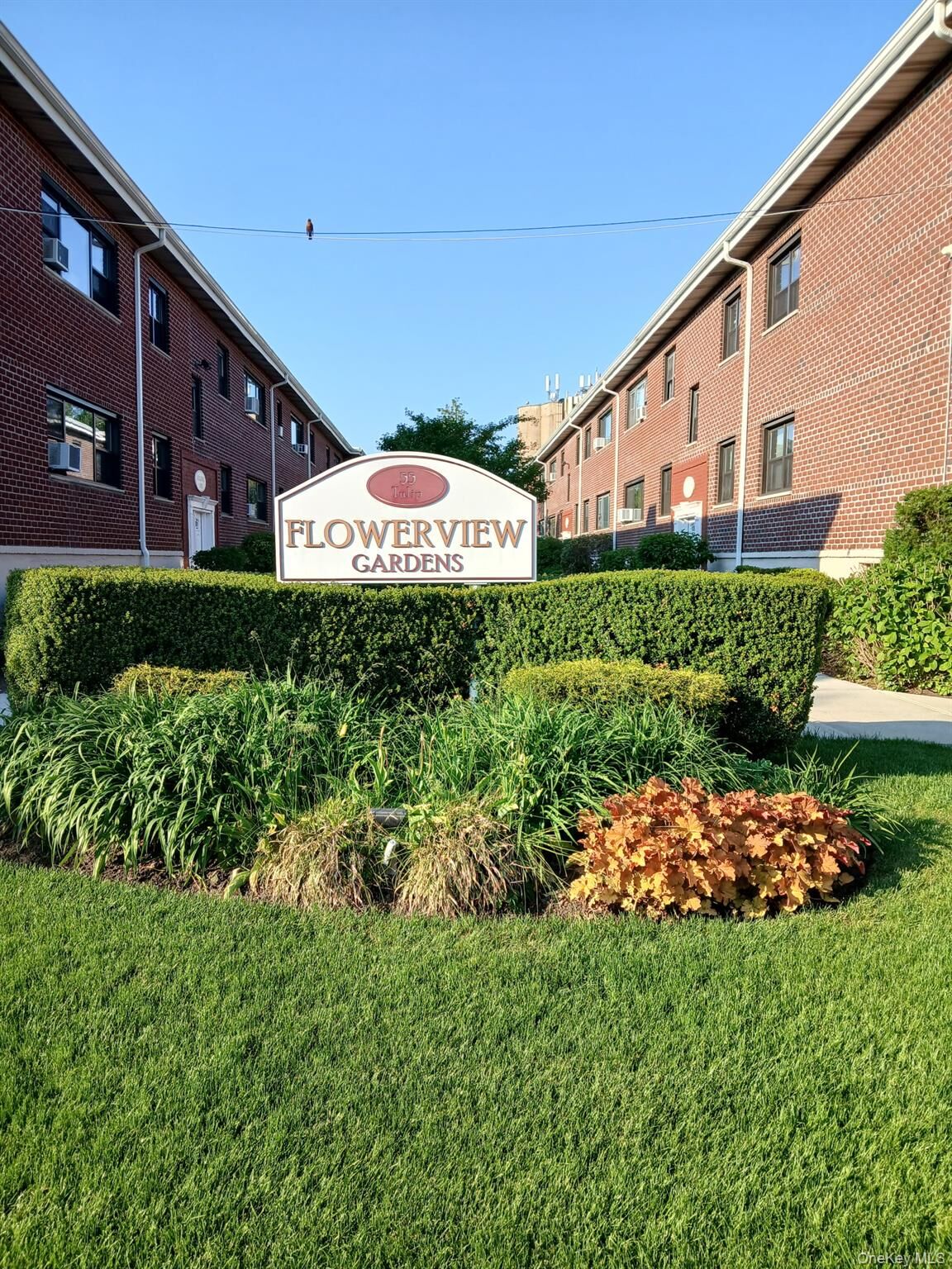 Property Photo:  55 Tulip Avenue B5-5  NY 11001 
