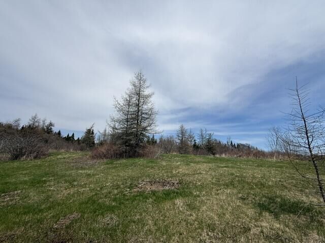 Property Photo: Lot 3 Holmes Bay Farms Road ME 04691